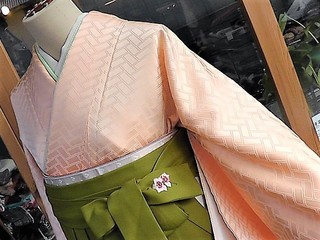 サックスブルー菊地紋色無地セット【袴レンタル＊下北沢】: 着物