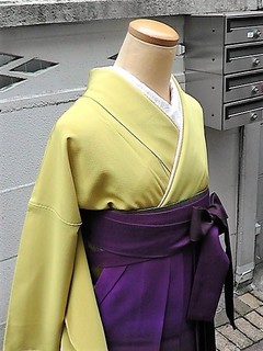 サックスブルー菊地紋色無地セット【袴レンタル＊下北沢】: 着物